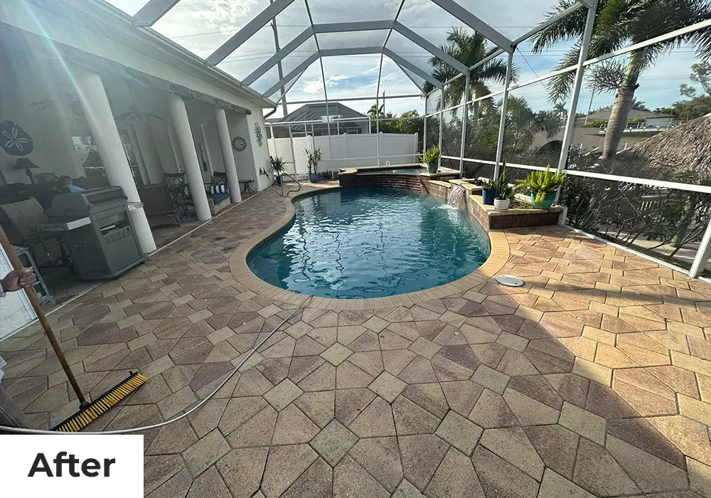 after_1_att_port_black_deer