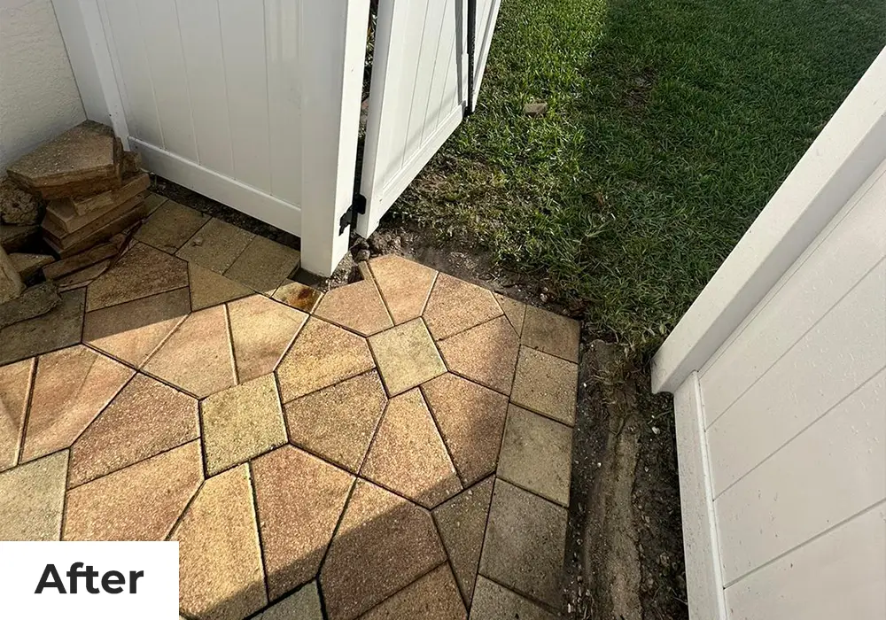 after_2_att_port_black_deer