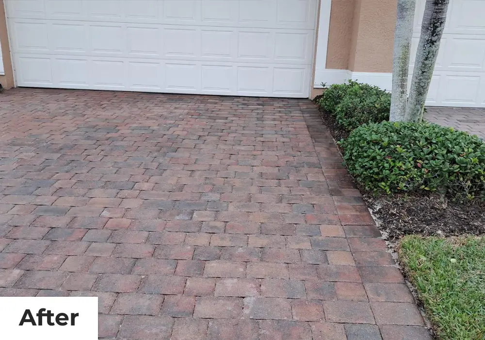 after_black_deer_new_1