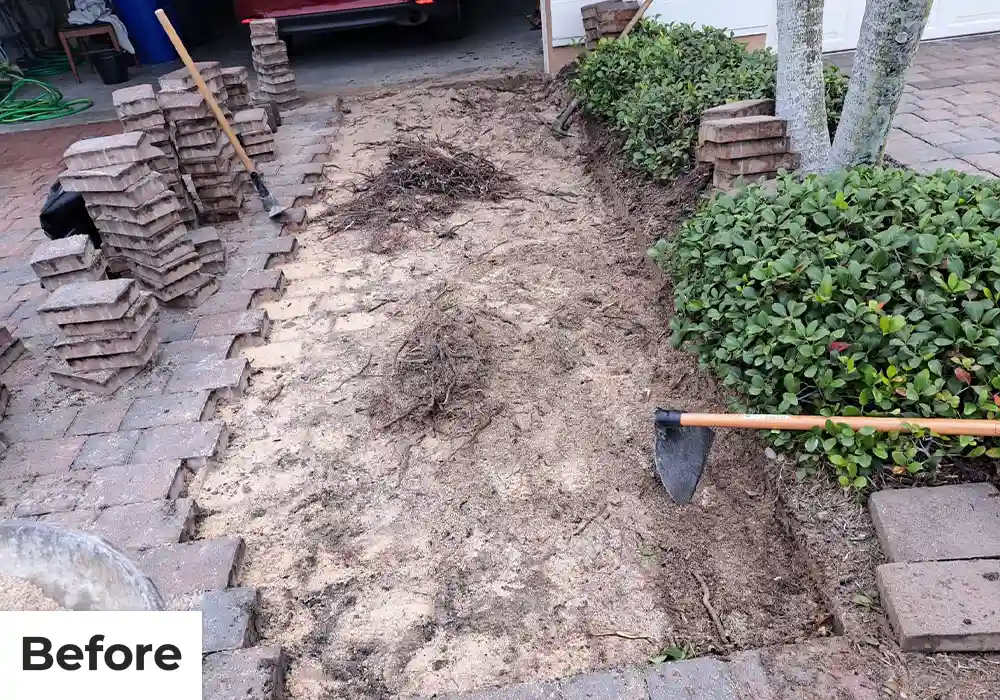 bofere_black_deer_new_1